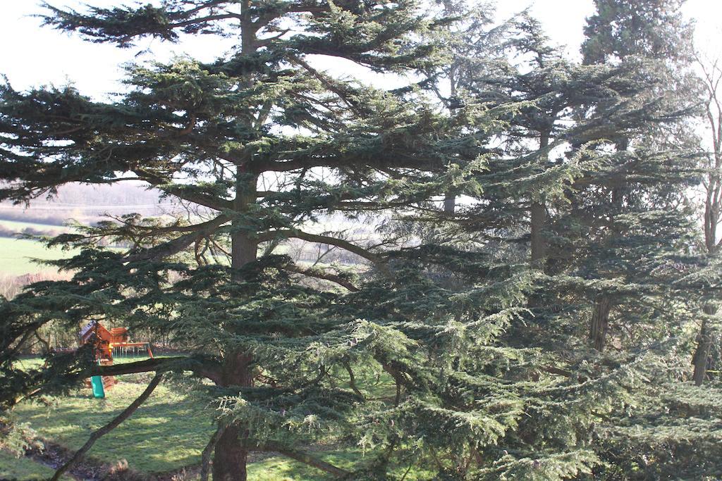 Chateau De La Folie Trie-Chateau Bilik gambar